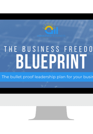 The Business Freedom Blueprint ebook shown on a computer screen